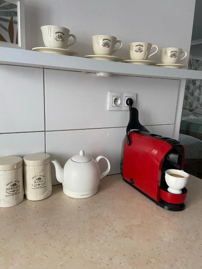 Apartament Na Starowce VI Pszczyna Bagian luar foto